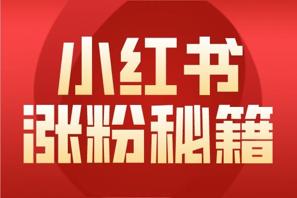 交易猫买什么账号容易被找回?